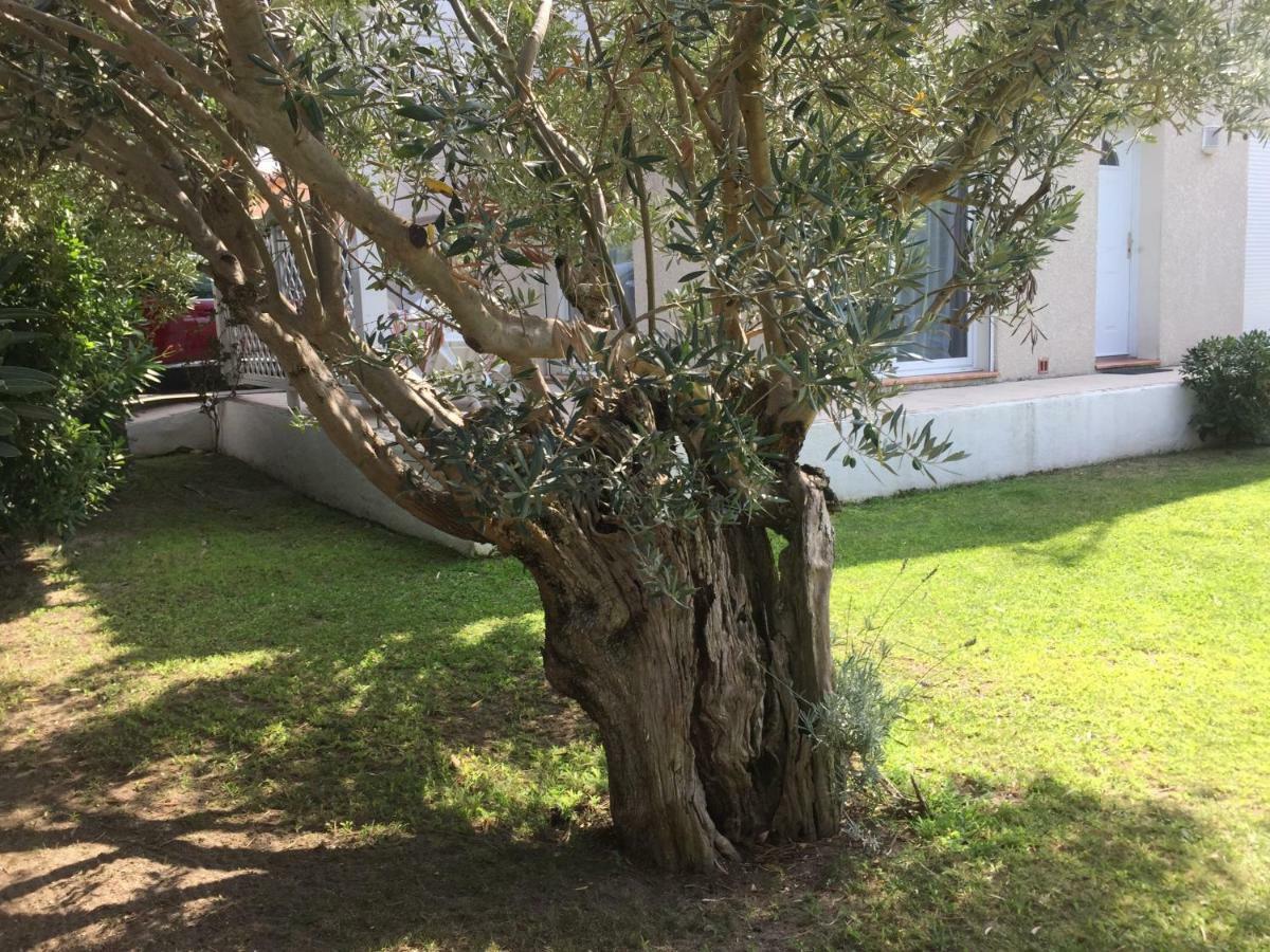 La Maison De Virginie Villa Saint-Cyprien  Exterior foto